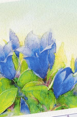 楽天市場】リンドウ ( 竜胆 龍胆 水彩画 )☆当店オリジナル