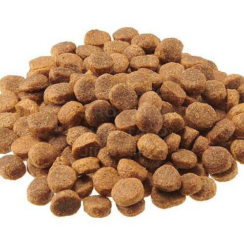 楽天市場】【選べるおまけ付】 BLISMIX ブリスミックス グレインフリー