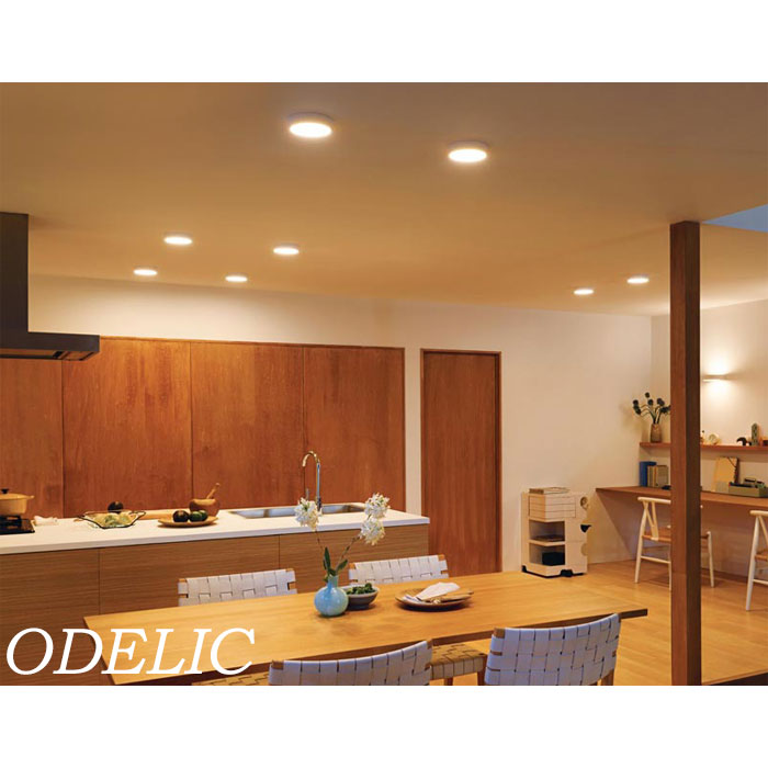 楽天市場】オーデリック シーリングライト 小型 150mm ♪ ☆ おしゃれ