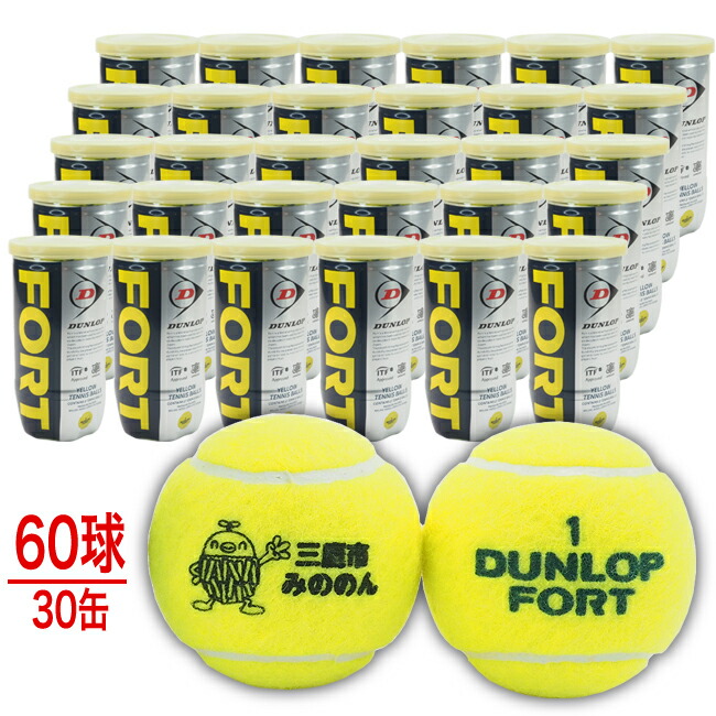 ダンロップフォート120球 中古品 NO1 ダンロップ フォート120球 中古品