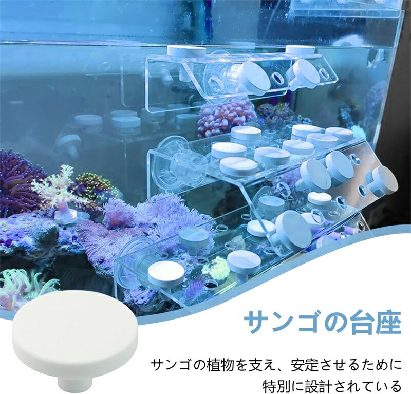 楽天市場】水族館 サンゴ プラグ 10pcs 珊瑚ベース T型 コーラル