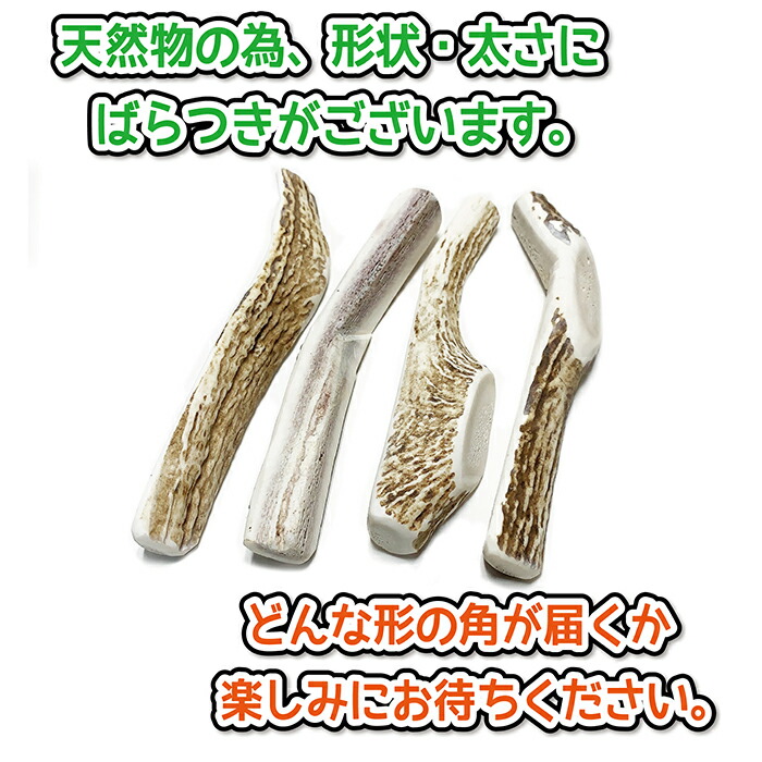 楽天市場】【中型犬用 蝦夷鹿の角】『鹿角さん』 髄出し割り角 四つ