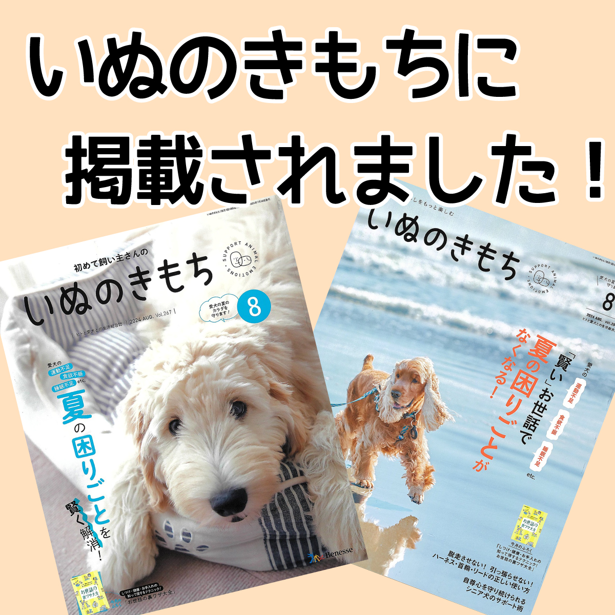 楽天市場】【超大型犬用 蝦夷鹿の角】『鹿角さん』極太の根元 1本