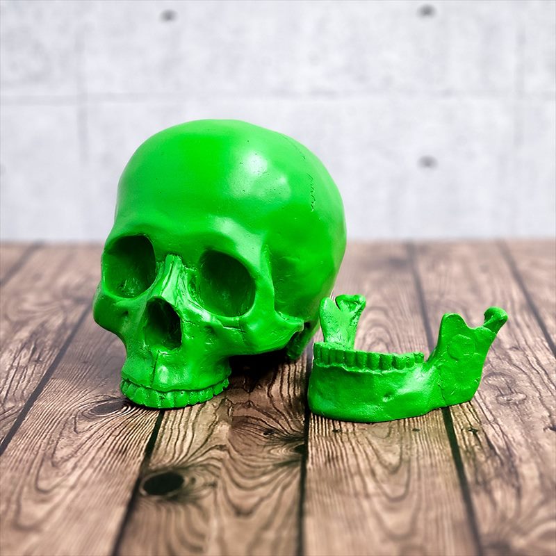 60'S☆スカル☆ビンテージ☆スカルオンブック☆髑髏☆骸骨☆メキシコ