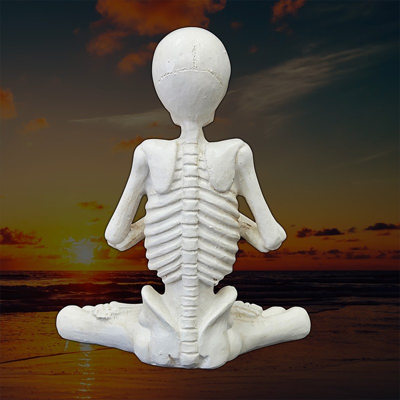 楽天市場】ガイコツ 置物 ドクロ 置物 スカル オブジェ お祈りポーズ