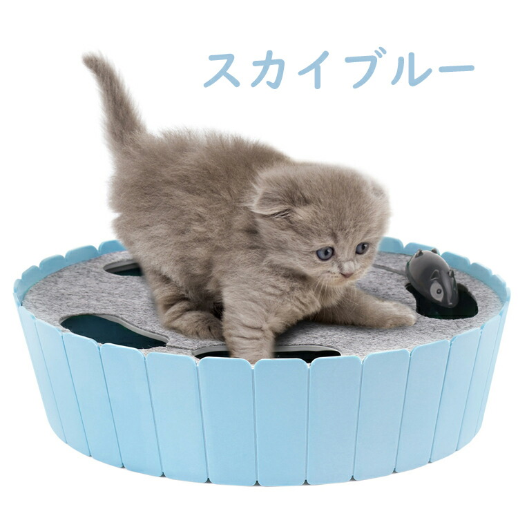 犬、猫のお留守番に！パウボ PAWBO+ 新品未使用品 送料込 【公式通販】