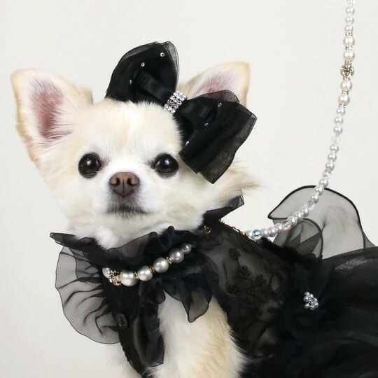 新品未使用】リュクスバーディ リード ファッション通販 ペット用品