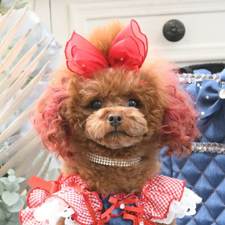 リュクスバーディ ルージュワンピース バレッタセット luxebirdie