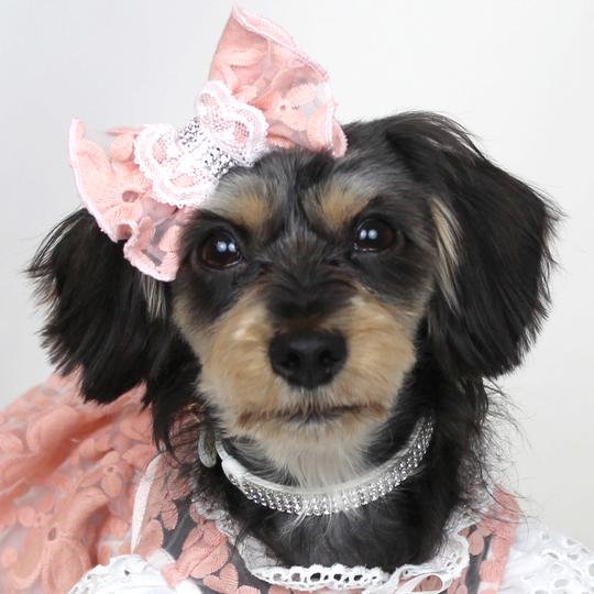 luxebirdie リュクスバーディ カラーリュクスバーディ Luxebirdie