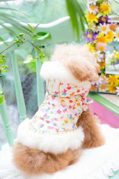 楽天市場】【0のつく日はポイント5倍!!】ブルブブ BUL BU-BU 中綿軽量