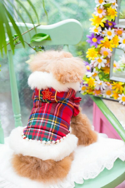 楽天市場】【0のつく日はポイント5倍!!】ブルブブ BUL BU-BU 中綿軽量