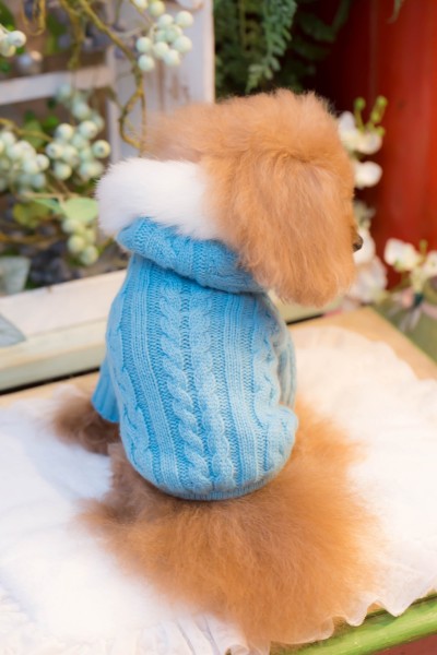 楽天市場】ブルブブ BUL BU-BU ニットダッフルコート【小型犬 犬服