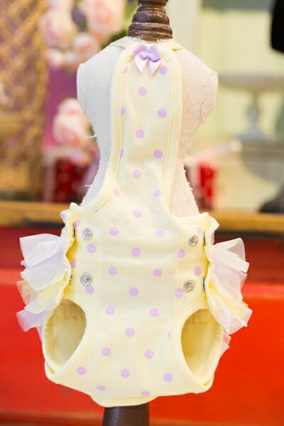 楽天市場】ブルブブ BUL BU-BU マナーブルマ【小型犬 犬服 マナー