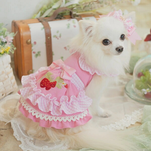 楽天市場】きゃんナナ CanNana レトロいちごギンガムフリルワンピース