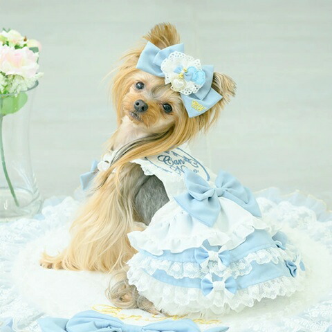 楽天市場】【0のつく日はポイント5倍!!】きゃんナナ CanNana アリス