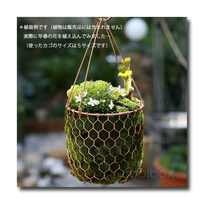 楽天市場】【京金網 銅製ハンギングバスケット L】伝統の技 亀甲網