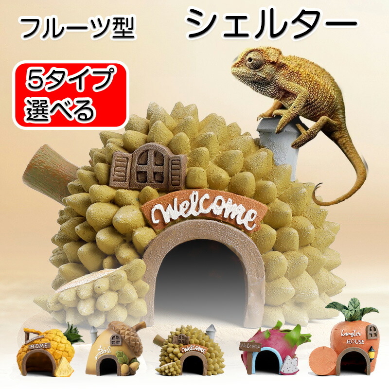 楽天市場】爬虫類 シェルター フルーツシェルター 2個セット 隠れ家