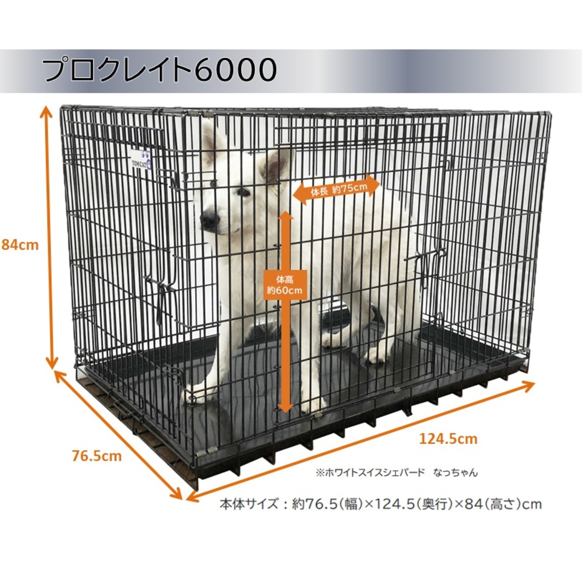 楽天市場】トムキャット プロクレイト 5000（旧最強ｸﾚｲﾄ5000） : トム