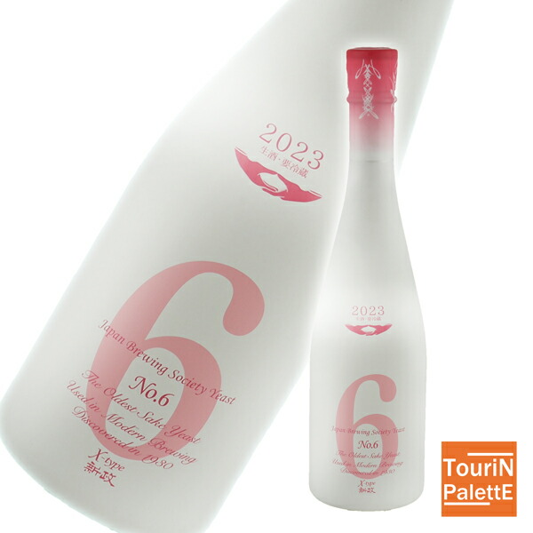 新政 No.6 X-type 2024 新政No6 製造出荷2024年8月X-type