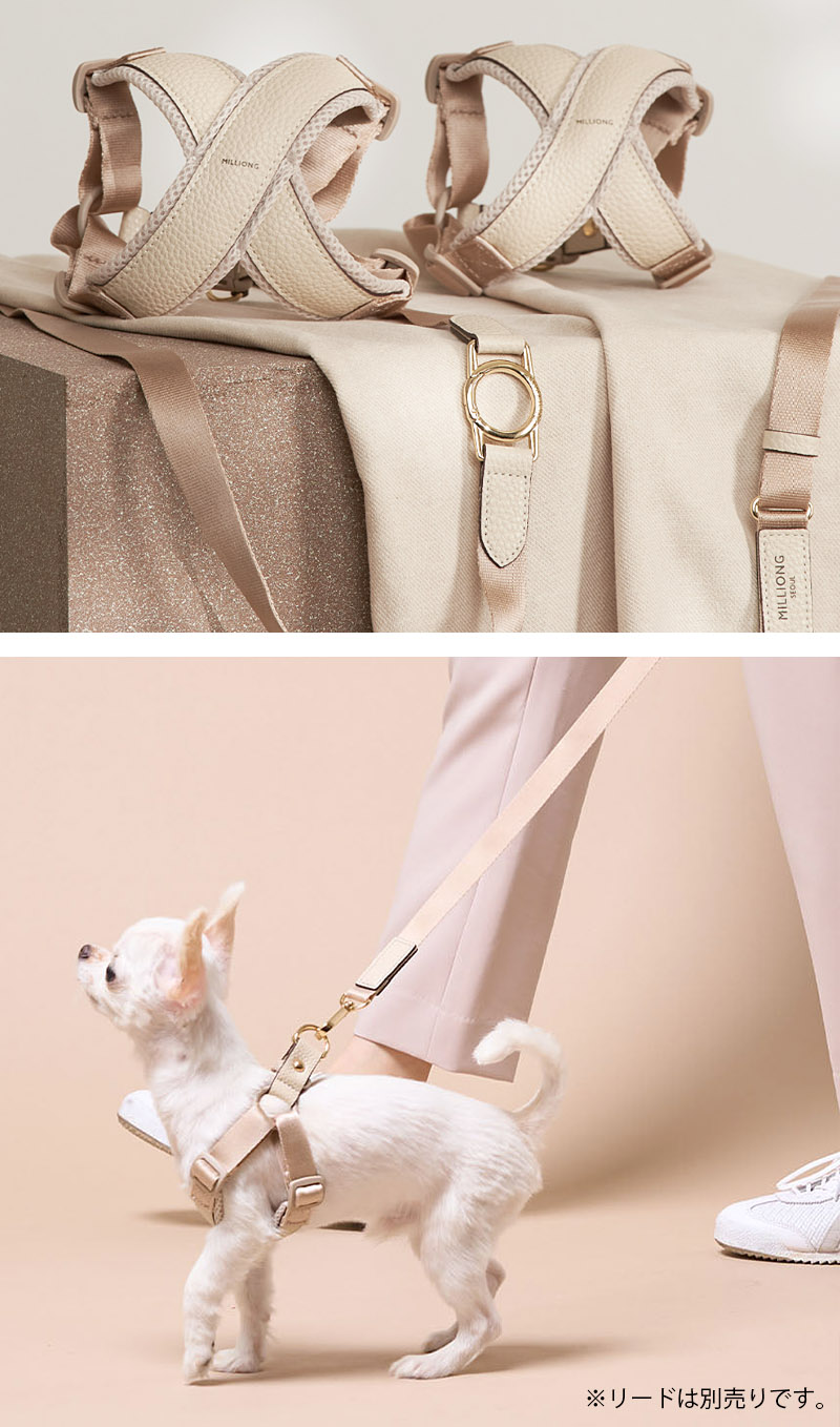 楽天市場】ミリオン ハーネス 小型犬 X型 5Dエアメッシュクッション XS