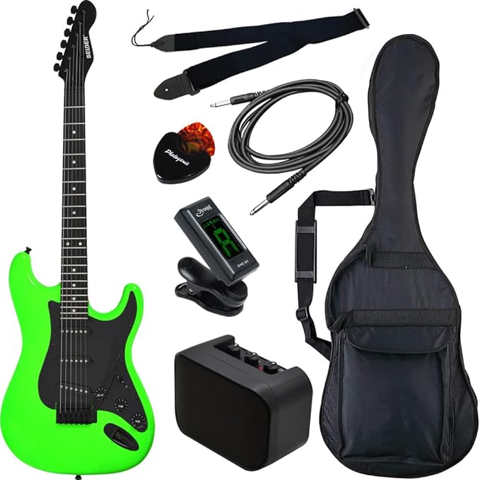 弦新品】SELDER セルダー ストラトタイプ エレキギター/クリーニング済