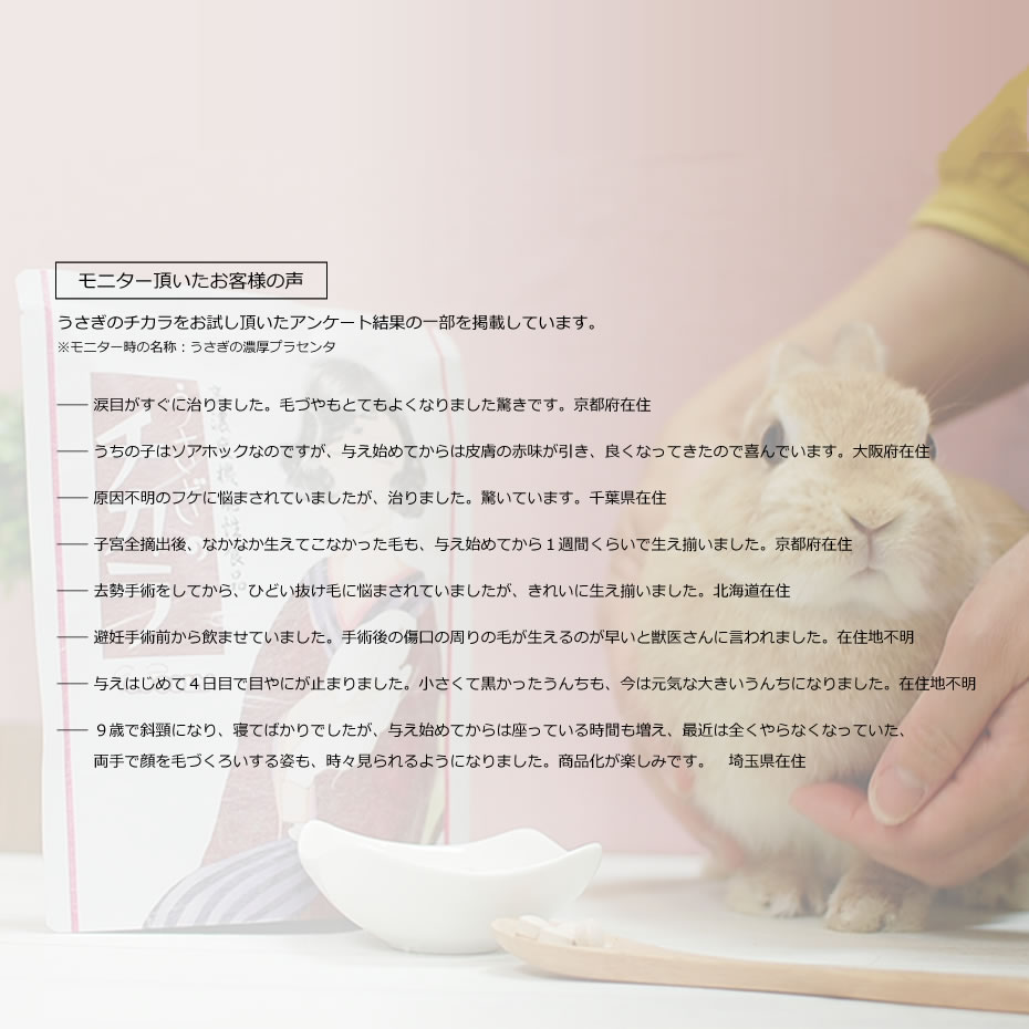 ACTIVE.E チカラのちから 計3点まとめ チカラのちから 80錠の通販は