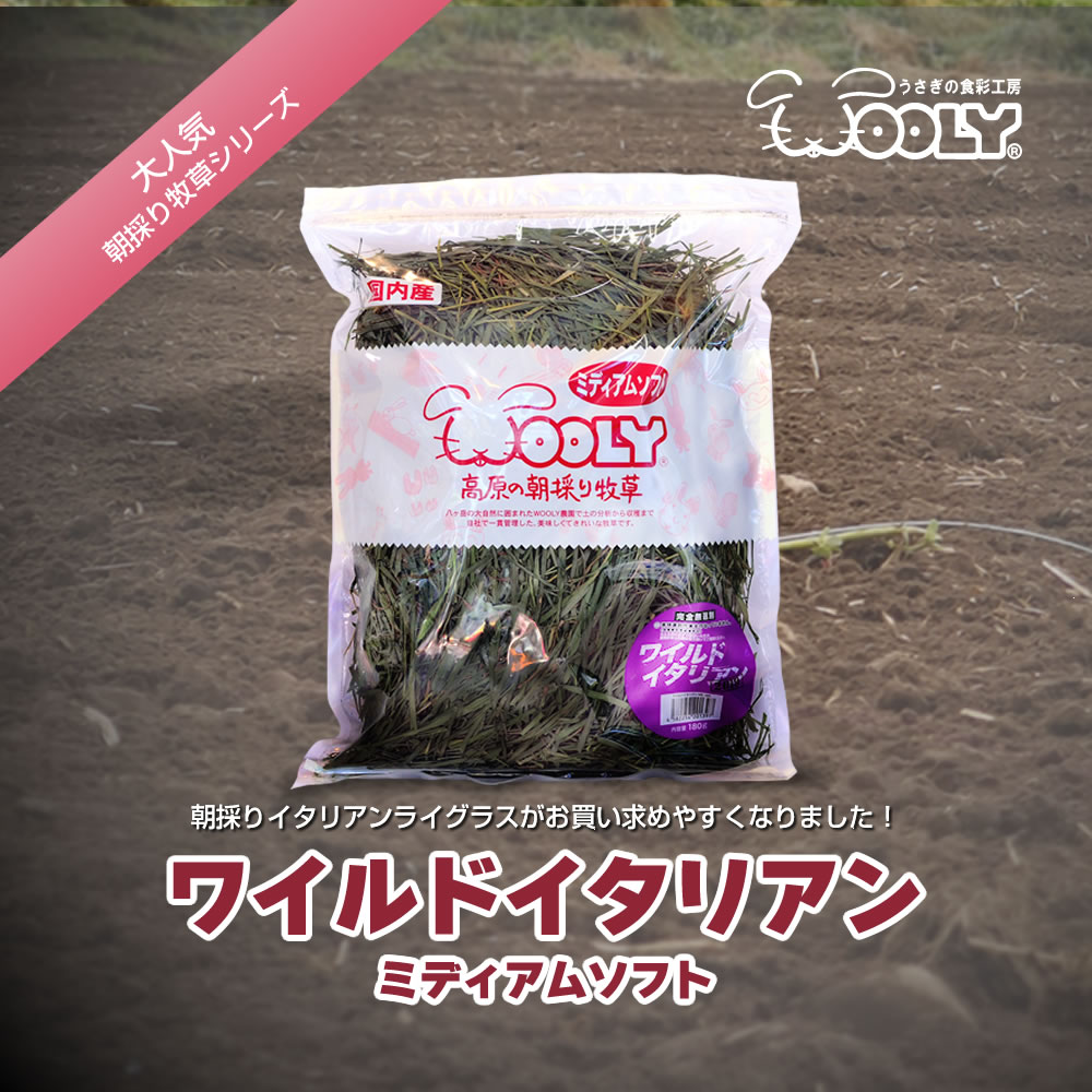 JOLLY ワイルドイタリアン 乾燥牧草 400g JOLLY ワイルドイタリアン