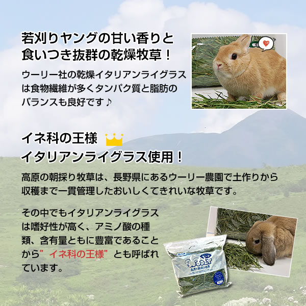 楽天市場】2/13以降順次発送 ウーリー 高原の朝採り牧草「イタリアン
