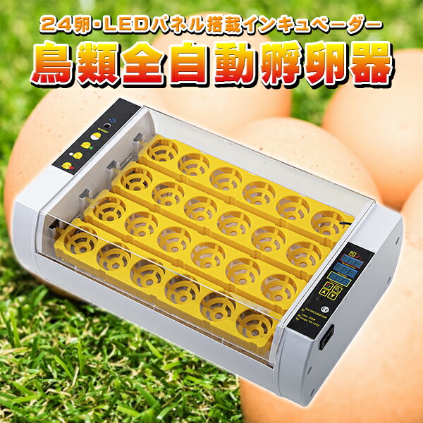 ▪️送料無料！自動転卵機 温度制御搭載 24個孵卵器 育成に110V