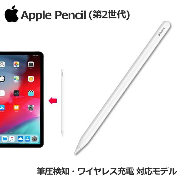Apple pencil(第2世代)