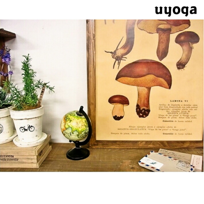 レア❗️】70's アメリカヴィンテージ キノコ、カエル、蝶々 ウォール