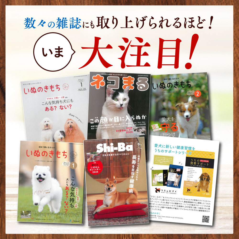 楽天市場】＼クーポンで20%OFF！／うちの関節サポート 関節 サプリ 猫