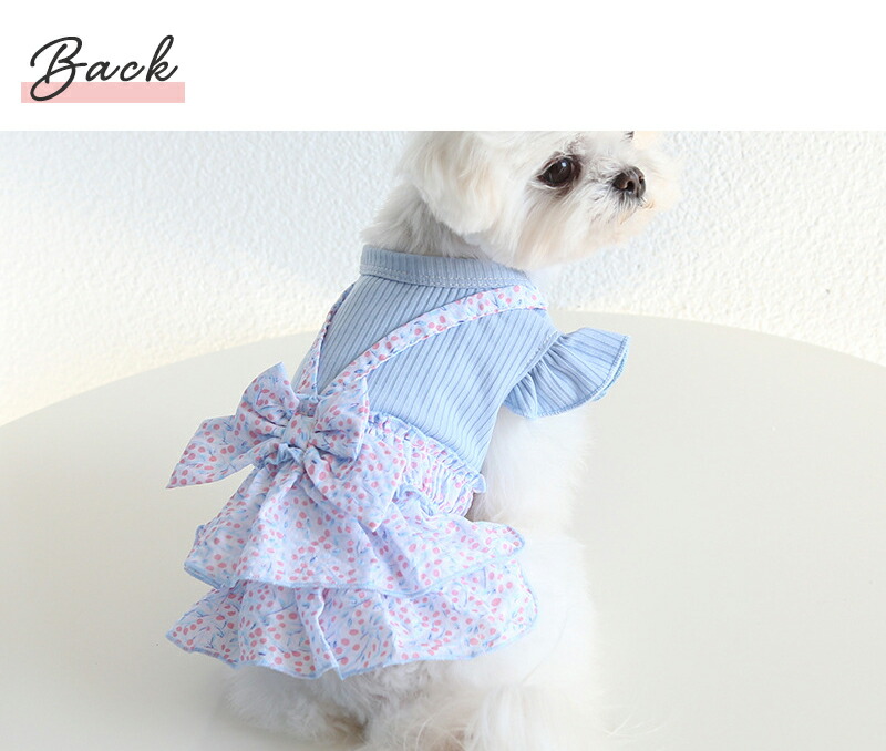 犬服 3S わんこの普段着青いちご