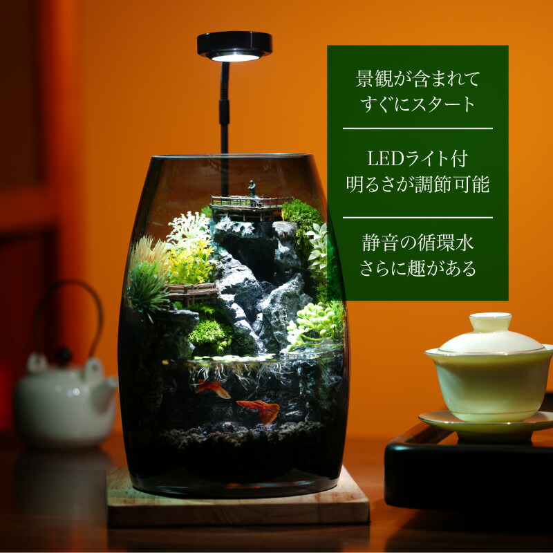 水を入れるだけですぐに始められる ミニチュアランドスケープ