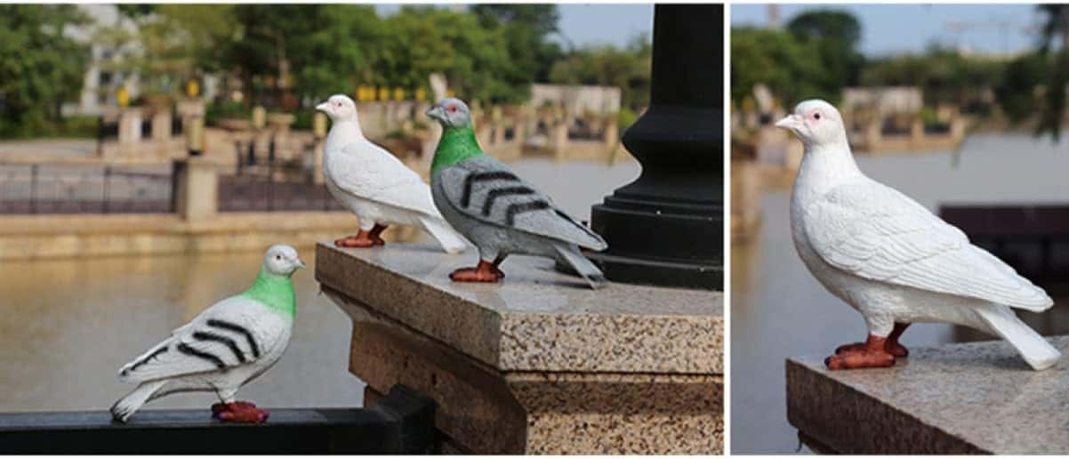 楽天市場】2羽セット 置物 おきもの 鳩 平和の象徴 動物 マスコット 鳥