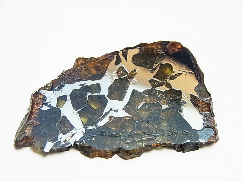 楽天市場】セイムチャン隕石 (SEYMCHAN) パラサイト 隕石【ロシア産