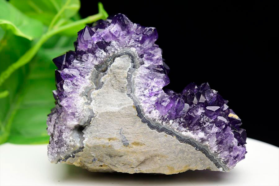 楽天市場】フラワー アメジスト クラスター 原石 ◇ウルグアイ