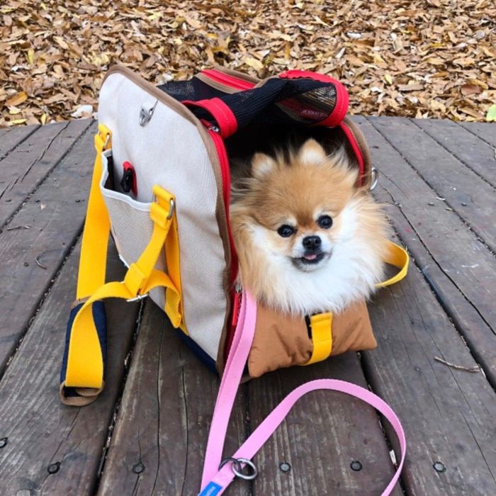 楽天市場】※予約販売【iCANDOR】i bag（Sassy Cream） 犬用キャリー