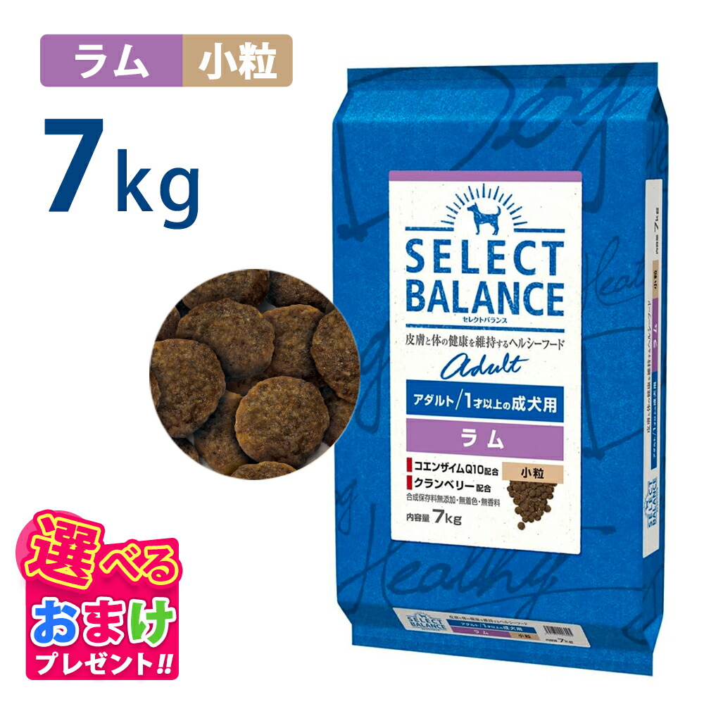 楽天市場】セレクトバランス アダルトラム7kgの通販