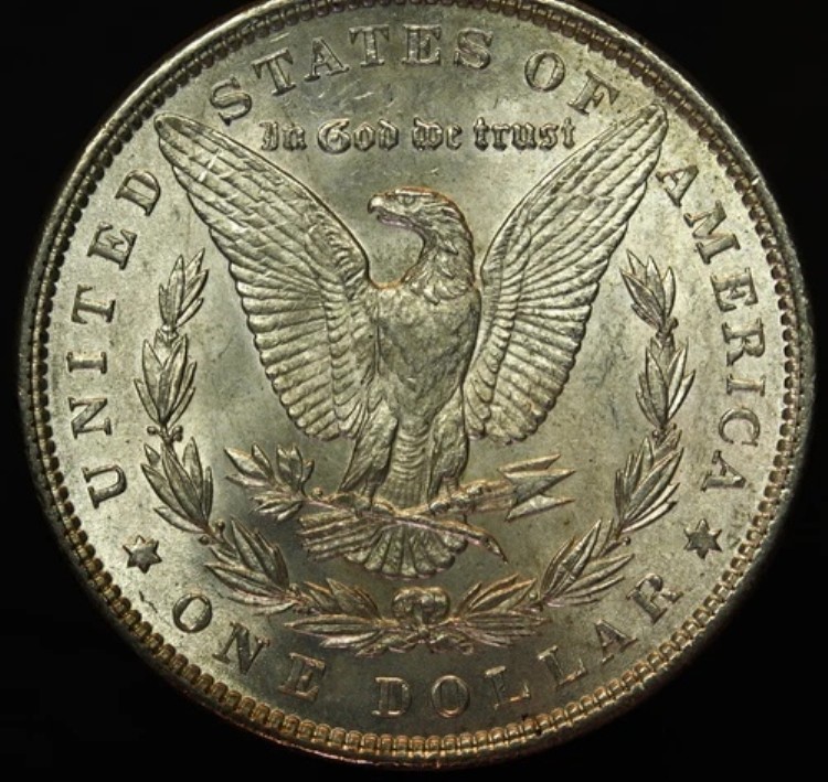 モルガンダラー」の人気商品一覧 | 安い商品を通販サイトから探す