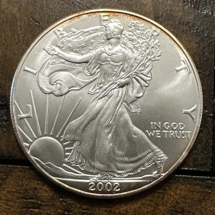2002年アメリカンシルバーイーグル