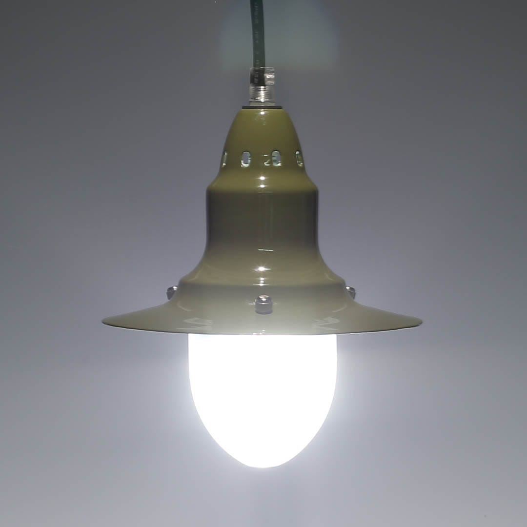 G63ドームナンシー 吊り卓上照明 アンテルカレール 被せガラス 47cm