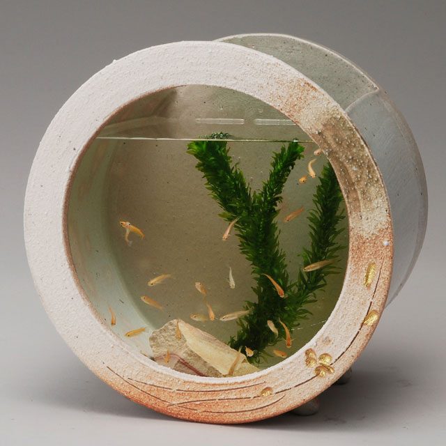 楽天市場】メダカ 水槽 おしゃれ メダカ鉢 鉢 メダカ入れ 金魚鉢 陶器