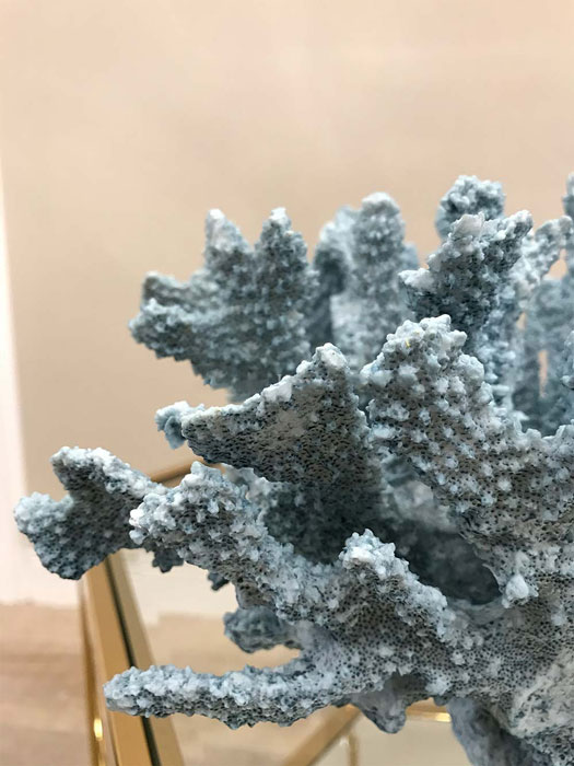 楽天市場】珊瑚 サンゴ Coral ミントブルー Mintblue インテリア