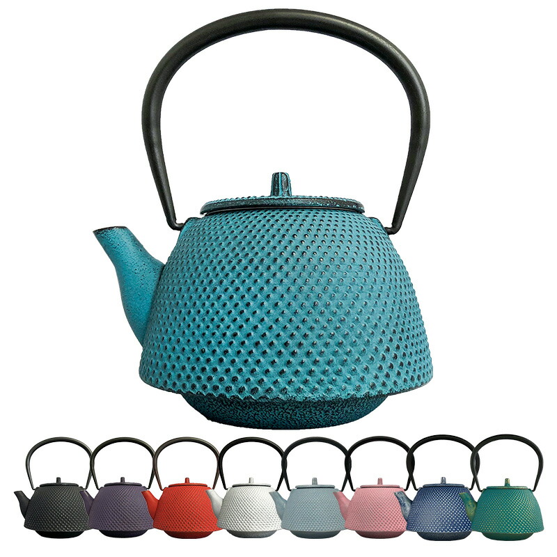 南部鉄器 急須 アラレ ホーロー加工 鉄 鉄急須 未使用 岩手県水沢