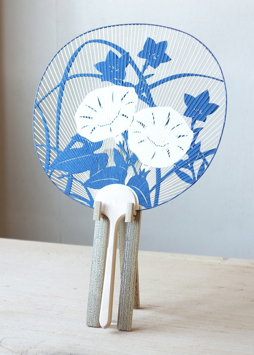 楽天市場】【京うちわ】【阿以波】並型両透うちわ 朝顔 /夏飾り/伝統