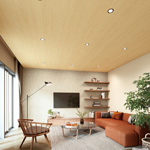 のり スリクソン ZXi5 アイアン N.S.PRO 950GH neo スチールシャフト 単品