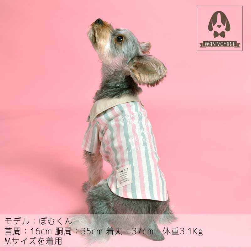 楽天市場】ストライプシャツ XS/S/M/L/XL/XXLサイズ TINOTITO ティノ