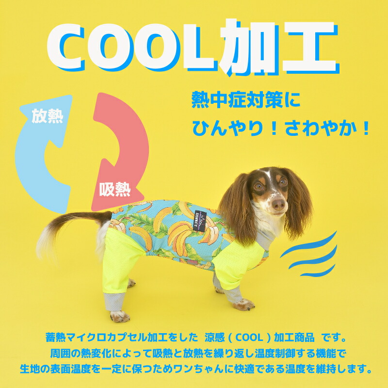 ALPHAICON 幾何学模様 メッシュ犬服 DXS ALPHAICON 幾何学模様