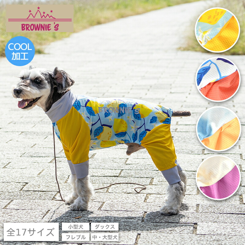 楽天市場】【2025年モデル】メッシュアクティブロンパース 犬用